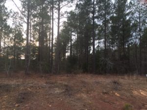 buying land in Moore County